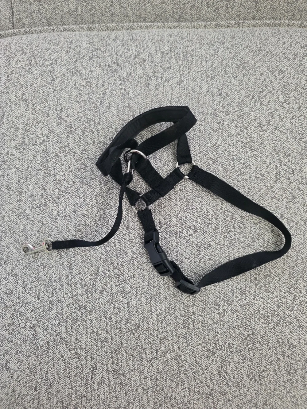 Every Yay Dog Head Halter Leash Harness Gentle Steer - Size Medium